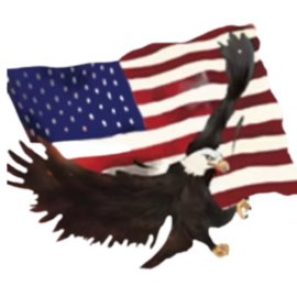 American Car Wash Fallon — bald eagle and American flag logo